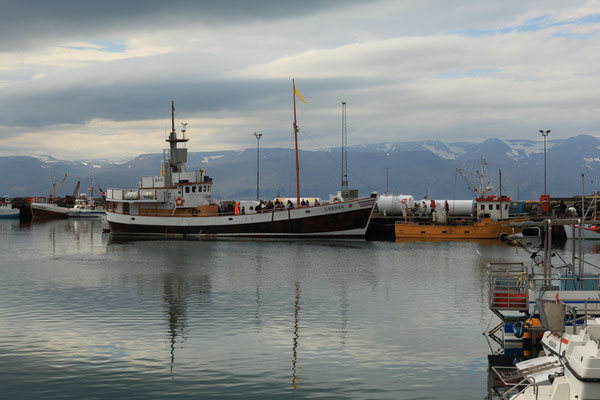 Husavik-ISLAND-3-1-Tour-G385