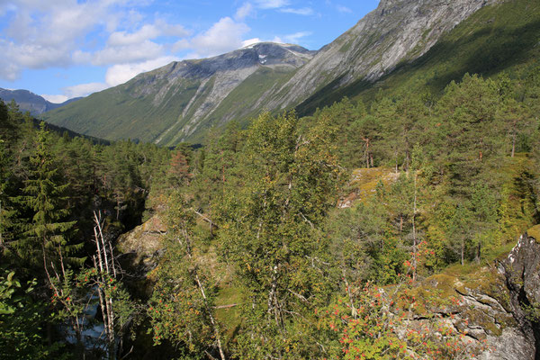 Norwegen-unterwegs-Land-Rover-C384