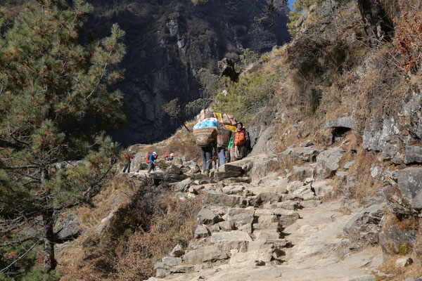 Unterwegs-Solo-Khumbu-Trek-Nepal-C924