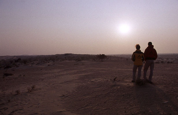 Wueste-Thar-Rajasthan-Abendsonne-Indien-Tour-F719