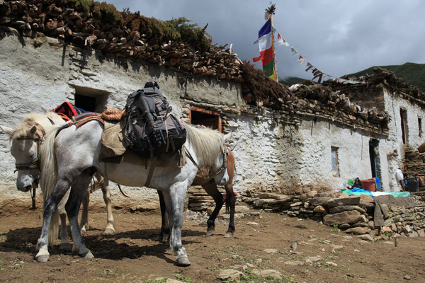 Fotozubehoer-Unterwegs-Abenteurer-Lowepro-B090