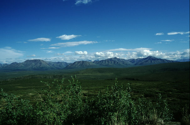 Denali-National-Park-Alaska-2-J512