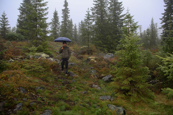 Abenteurer-EUROSCHIRM-Norwegen-926