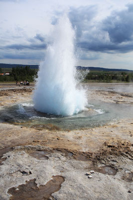 Geysir-Strokkur-Unterwegs-ISLAND-3-1-Tour-G454