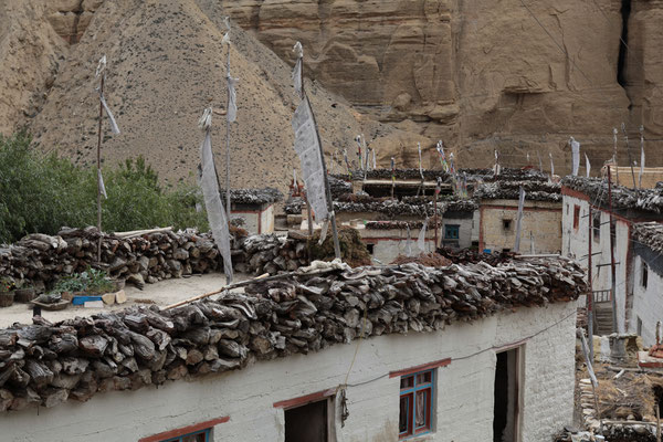 mit-Pferde-Upper-Mustang-Nepal-E054