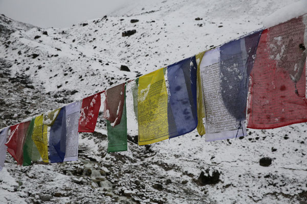 Gebetsfahnen-Tempel-Kloester-Buddhismus-B584