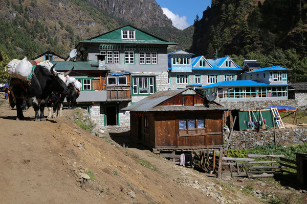 Trekkingtour-Reisefotograf-Everestgebiet-Nepal-C594
