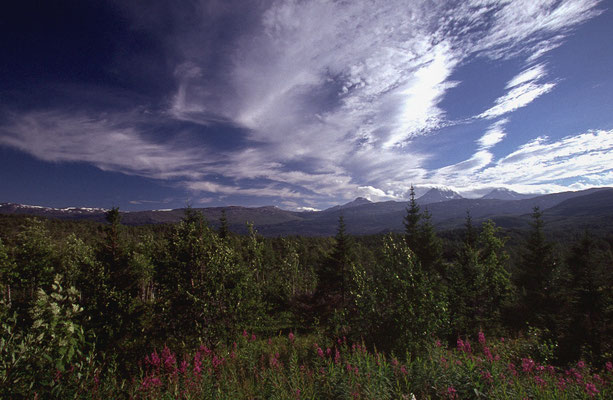 Reisefotograf-One-Tour-Norwegen-Tour-H932