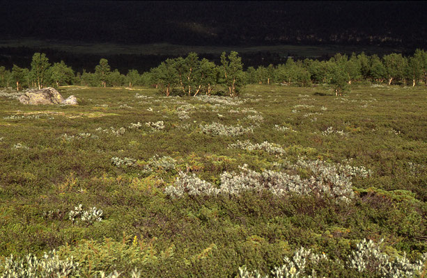 Juergen-Sedlmayr-Abenteurer-Norwegen-Tour-Unterwegs-H783