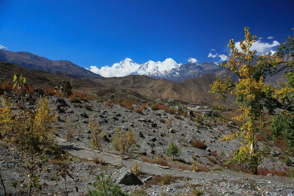 Trekkingtour-Hindus-Muktinath-Mustang-Nepal-E786