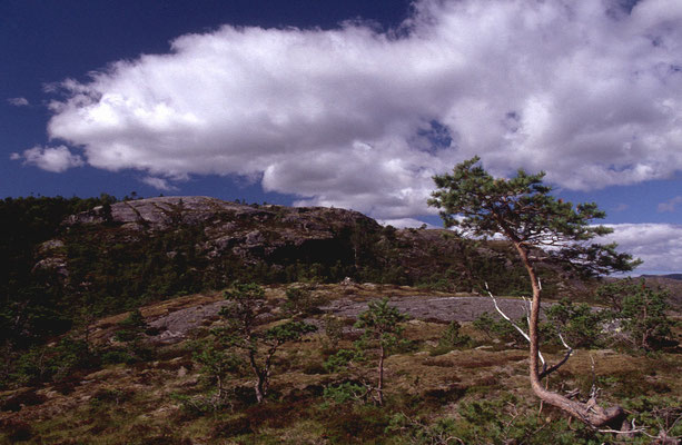 Unterwegs-Norwegen-Nationalpark-Tour-Juergen-H888