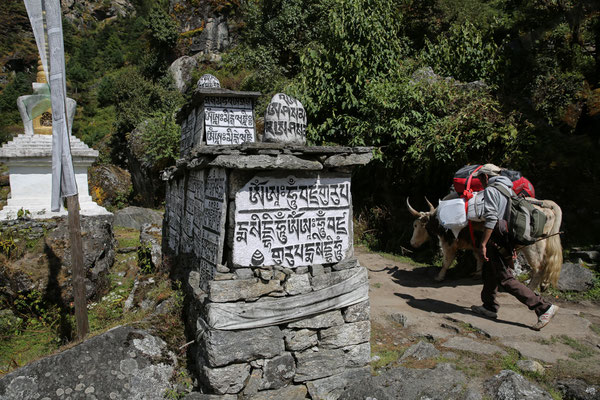 Nepal-Everest-Trekking-Tour-Juergen-Sedlmayr-C621