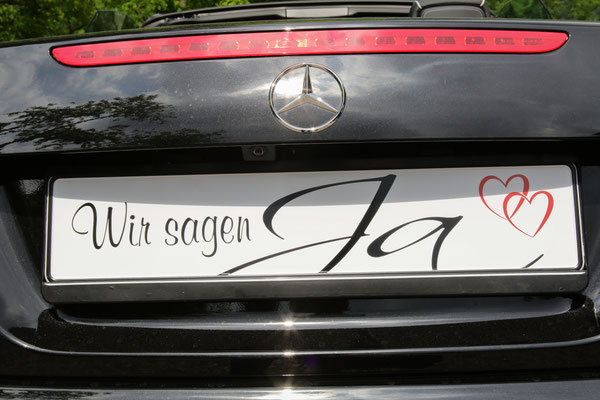 Hochzeitsfotograf-Suedliche-Weinstrasse-M756