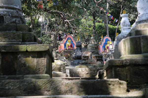 Swayambhunath-Tempel-Kathmandu-F199