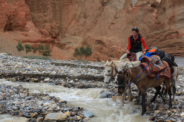 Juergen-Sedlmayr-Unterwegs-Koenigreich-Upper-Mustang-Nepal-E394