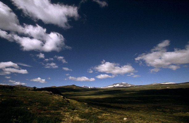 Nationalpark-Dovrefjell-One-Tour-Norwegen-Tour-H947