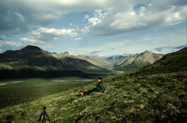 Denali-National-Park-Juergen-Sedlmayr-Alaska-2-J527