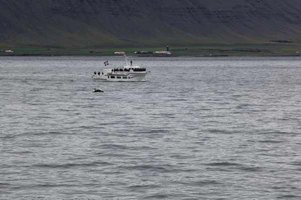 Reykjavík-ISLAND-3-2-Tour-G642