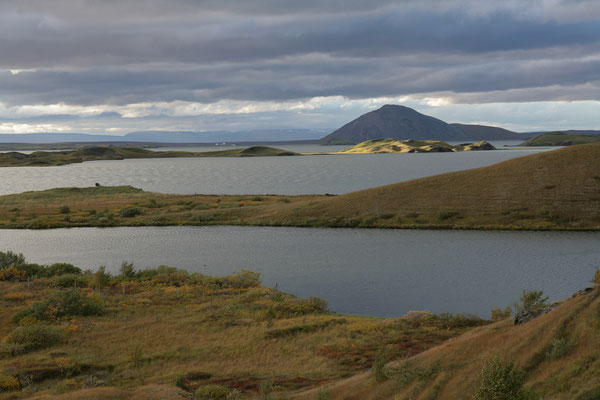 Mývatn-See-Unterwegs-ISLAND-2-Tour-H443