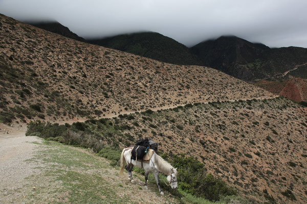 mit-Pferde-Upper-Mustang-Nepal-E075