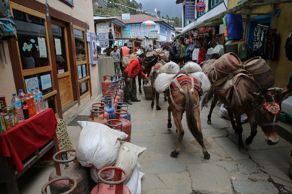 Lukla-Trekkingtour-Everestgebiet-Nepal-C567