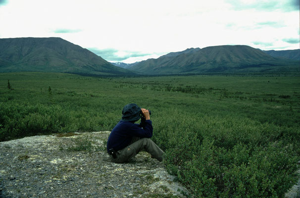 Denali-National-Park-Juergen-Sedlmayr-Alaska-2-J529