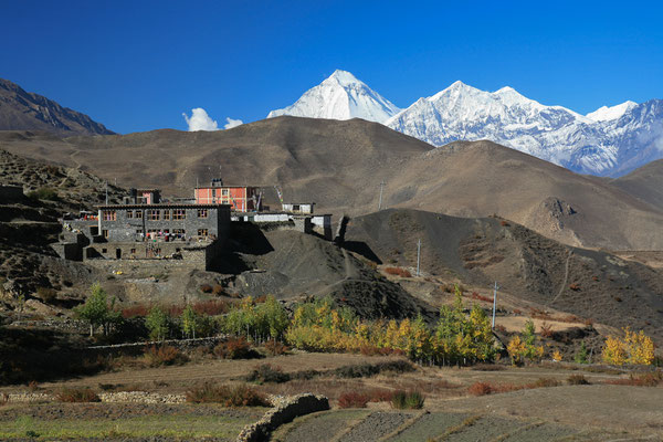 Unterwegs-Trekking-Tour-Muktinath-Mustang-Nepal-E745