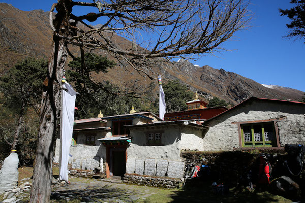 Himalaya-Kloester-Tempel-Buddhismus-unterwegs-B745