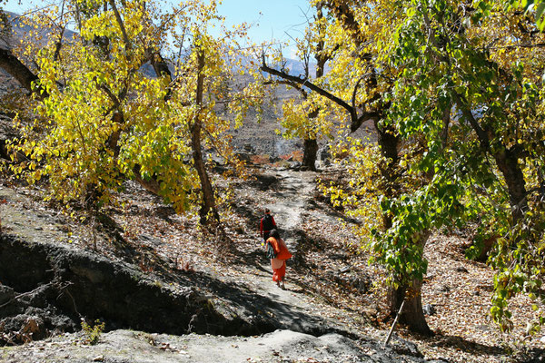 Trekkingtour-Hindus-Muktinath-Mustang-Nepal-E784