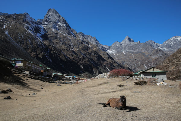 Fotogalerie-Abenteurer-Nepal-Solo-Khumbu-Trek-C999