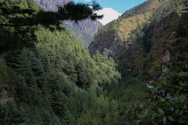 Nepal-Everest-Solo-Khumbu-Gruppe-D540