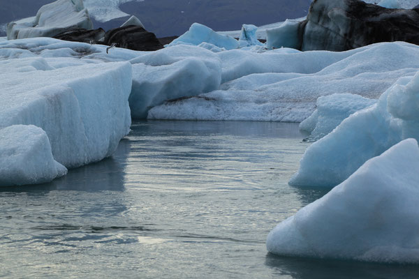 Gletscher-Fjallsárlón-ISLAND-3-3-Tour-G777