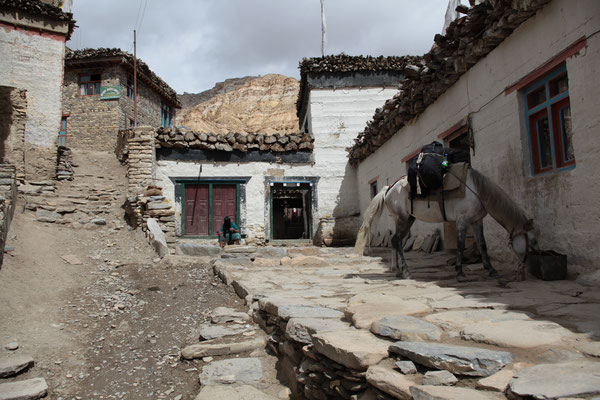 zu-Fuss-Upper-Mustang-Nepal-E048