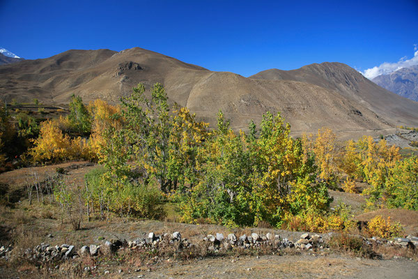 Rueckweg-Trekking-Muktinath-Mustang-Nepal-E843