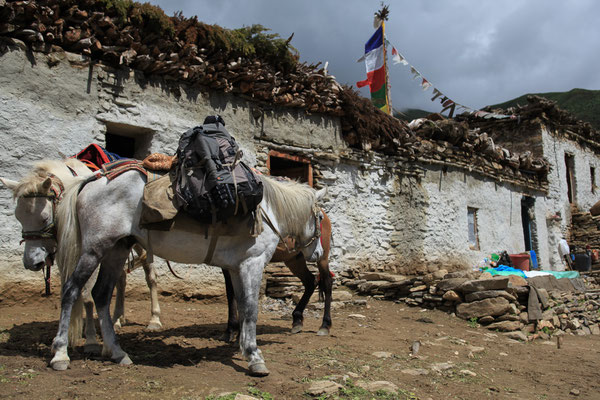 mit-Pferde-unterwegs-Upper-Mustang-Nepal-E092