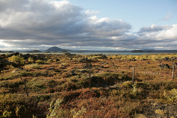 Mývatn-See-Unterwegs-ISLAND-2-Tour-H442