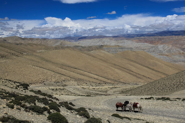 Unterwegs-Reisefotograf-Upper-Mustang-Perde-Trek-Nepal-E206