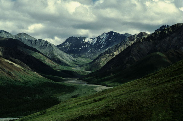 Denali-National-Park-Alaska-2-J507