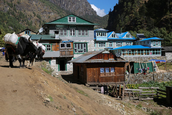 Solo-Khumbu-Trek-EBC-Everest-Region-Nepal-D224