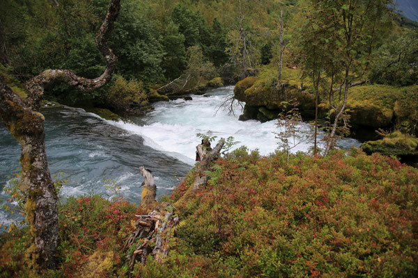 Norwegen-unterwegs-Land-Rover-Juergen-Sedlmayr-C361