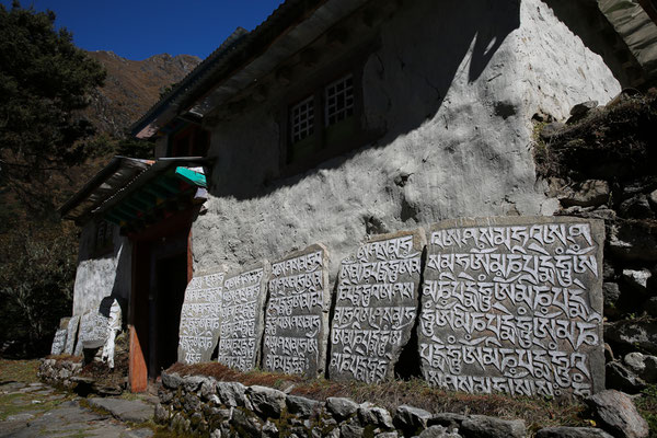 Solo-Khumbu-Trek-Nepal-Everest-Abenteurer-Rueckweg-D880