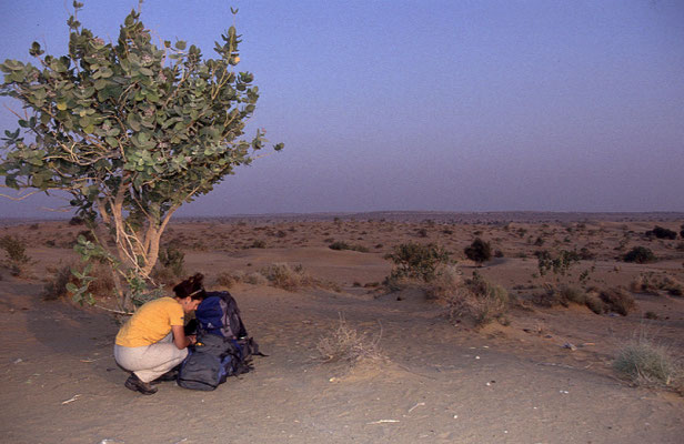 Unterwegs-Wueste-Thar-Abenteurer-Indien-Tour-G012