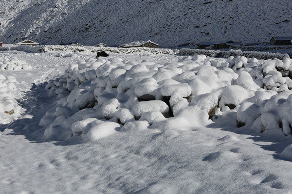 Nepal-Everest-Solo-Khumbu-Rueckweg-D766