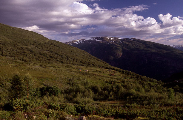 Reisefotograf-Norwegen-Tour-H736