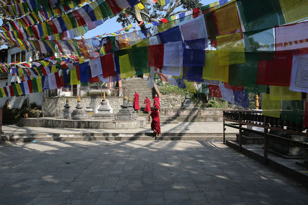 Tempelanlage-Swayambhunath-Kathmandu-F224