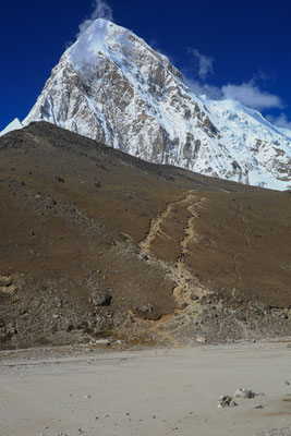 Fotogalerie-Solo-Khumbu-Trek-Himalaya-Nepal-C818