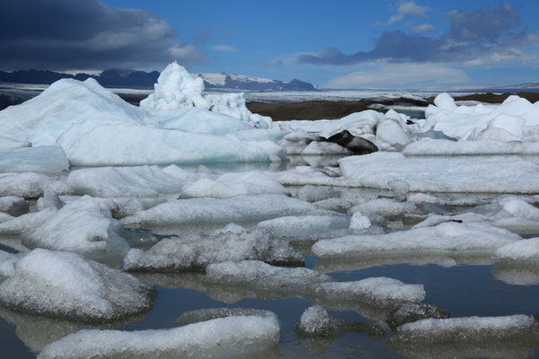 Juergen-Sedlmayr-Jökulsárlón-Gletschersee-ISLAND-3-1-Tour-G200