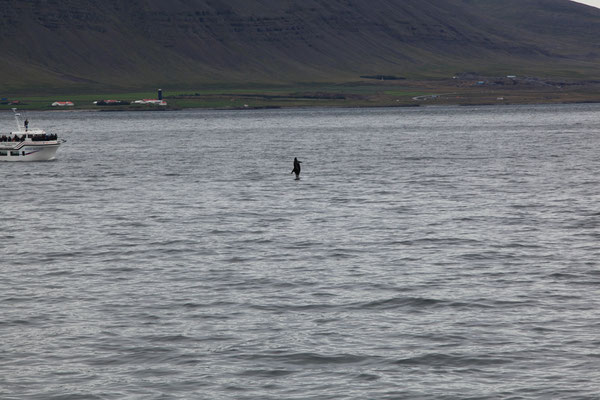 Reykjavík-ISLAND-3-2-Tour-G641