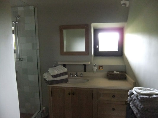 salle de bain avec douche -gîte Koetshuis