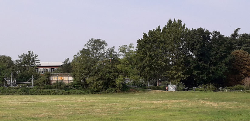 Cernusco sul Naviglio, luglio 2019